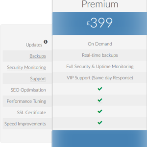 Premium Website Maintenance Package