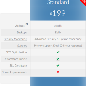 Standard Website Maintenance Package